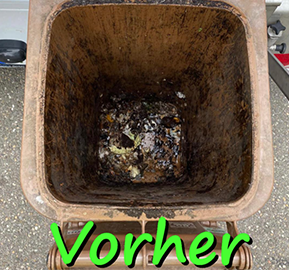 Reinigung ihrer Mülltonnen